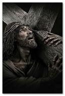 Бремя жертвы