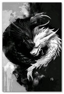 Двойственность драконов