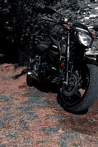 Sleek Ride in the Shadows 🏍️✨
