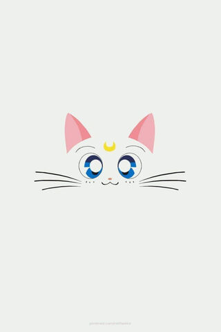 Adorable Cat Face 🐱✨