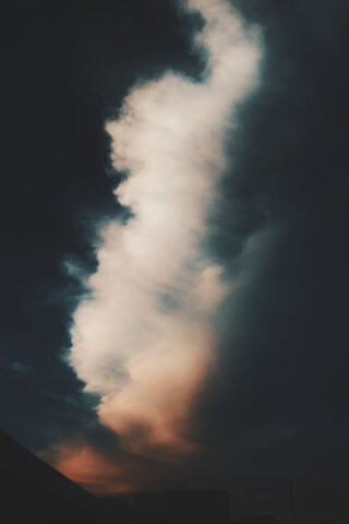 Dreamy Whispers of the ..