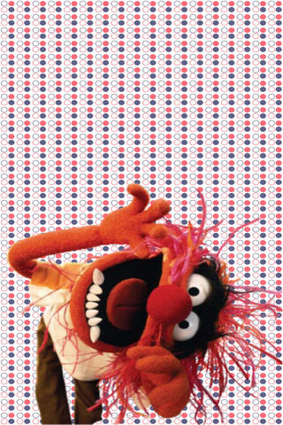 Wild and Wacky Animal! 🎉