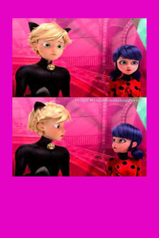 Miraculous Encounters 🐞✨