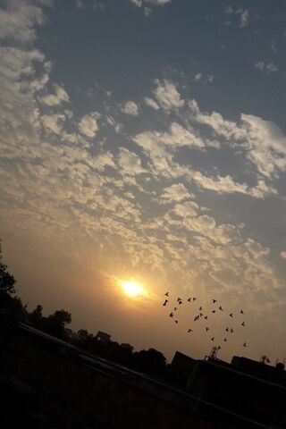 Serene Sunset with Danc..