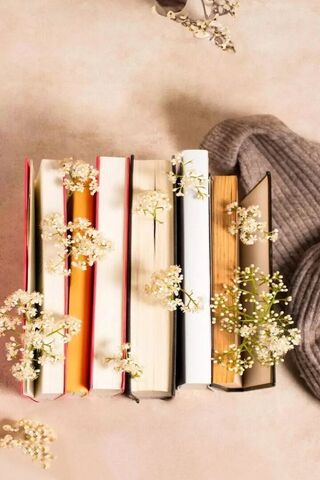 Cozy Book Vibes 📚🌼
