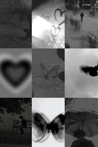 Shadows of Emotion 🖤🦋