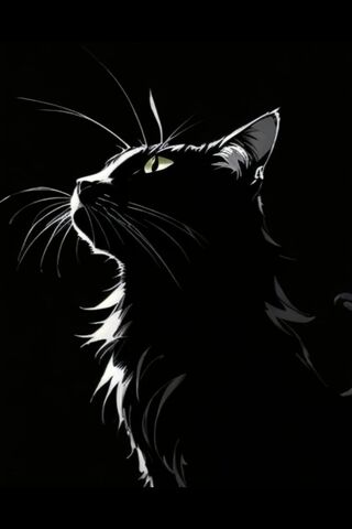 Mysterious Feline Silho..