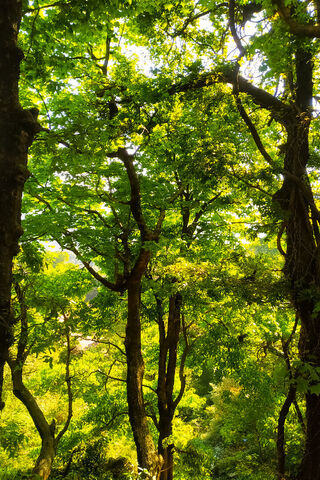 Beautiful Nature