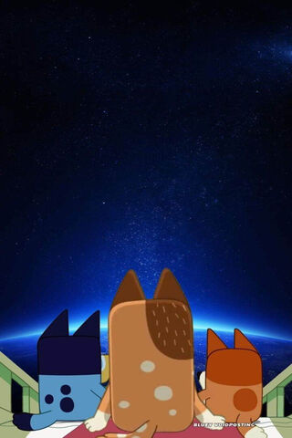 Paws in Space! 🌌🐾