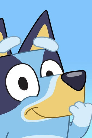 Meet Bluey! 🐾
