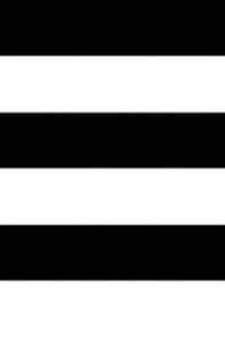 Striking Stripes: A Bold Contrast 🖤🤍