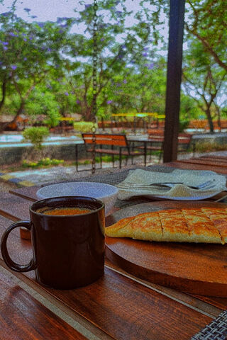 Morning Bliss ☕🌳