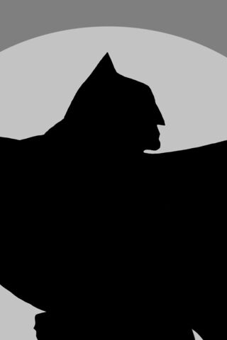 The Dark Knight's Silho..