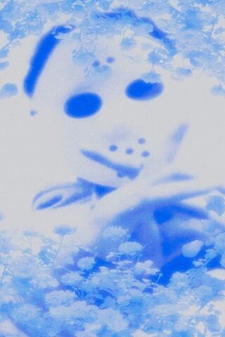 Mysterious Blue Masked ..