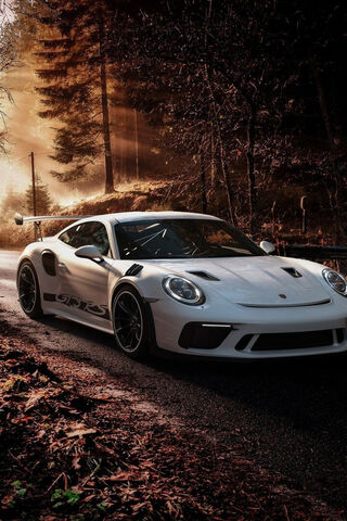 Sleek Power: The Porsche GT2 RS in Nature 🌲🏎️