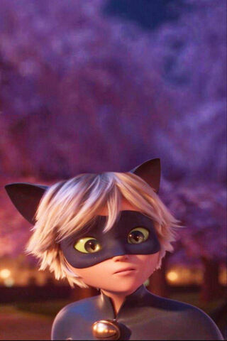 Charming Cat Noir 🌟