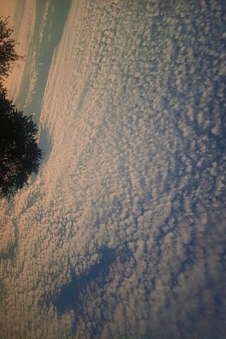 Whimsical Skies: The Ch..