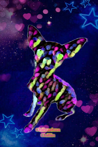CHIHUAHUA Techno Rave