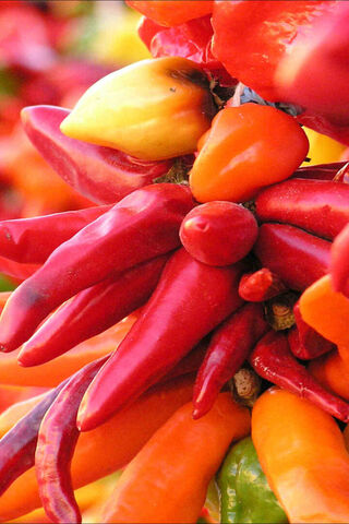Spicy Delight: A Colorful Array of Chili Peppers 🌶️🌈