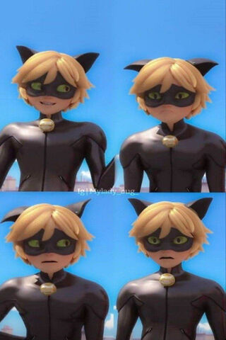 Cat Noir Collage II