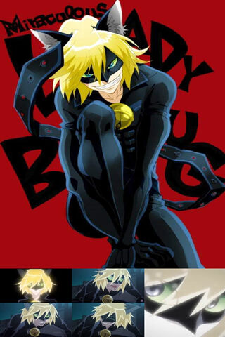 Cat Noir in Action! 🐾✨
