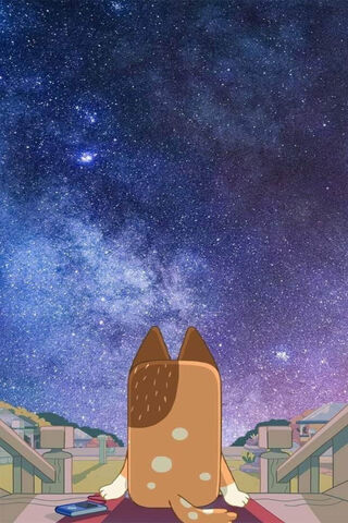 Starry Night Adventure 🌌🐾