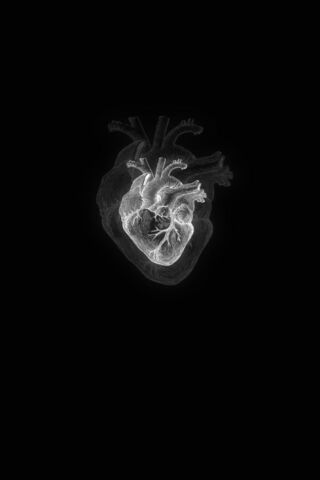 The Heart of Life ❤️