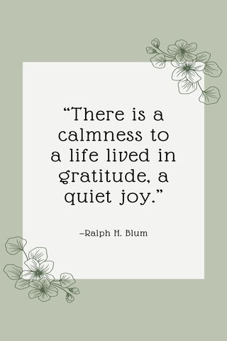 Embracing Gratitude 🌸✨