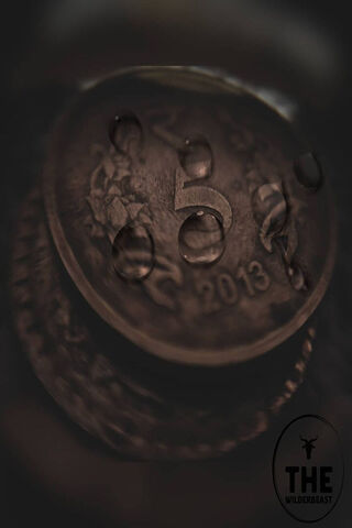 Close-Up of a Vintage Coin 🪙✨