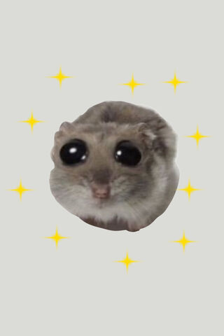 Adorable Hamster with B..