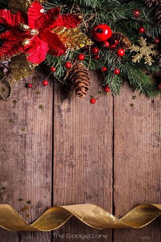 Festive Holiday Cheer 🎄✨