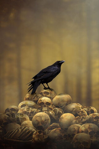 The Watcher Among Shadows' 🦅💀