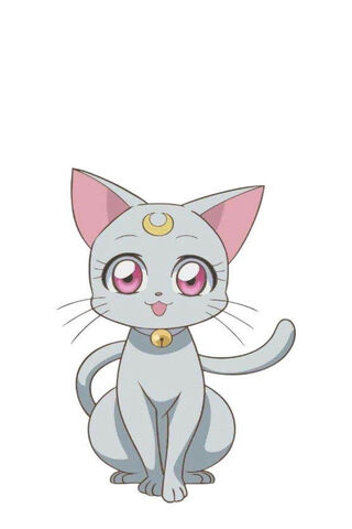 Adorable Moon Cat 🌙🐾