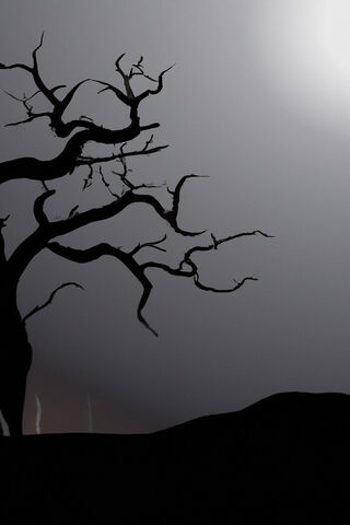 Haunting Silhouette 🌫️🌳