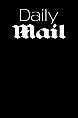 Daily Mail Logo 📰