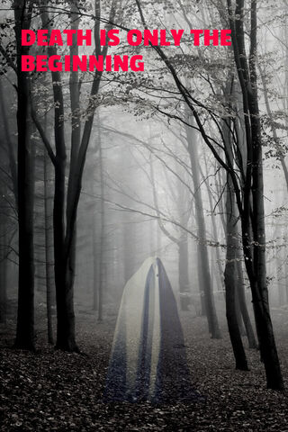 Embrace the Unknown 🌫️👻