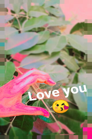 Love in Nature 🌿💖