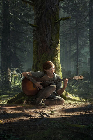 Melodies in the Forest ..