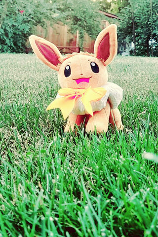 Adorable Eevee in the G..