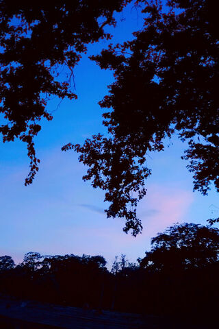Serene Twilight 🌅