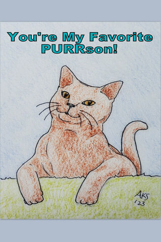 Favorite Purr-Son Cat