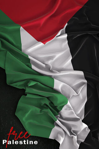 Embracing Unity: The Palestinian Flag 🇵🇸