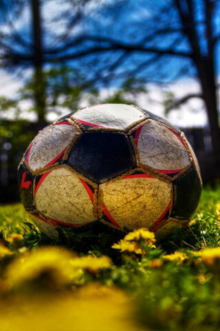 The Game Awaits ⚽🌼