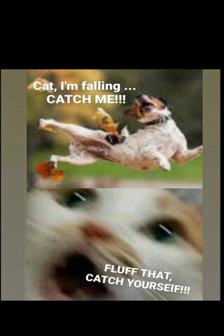 FLUFF THAT!!!
