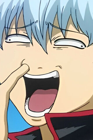 Gintoki Derp