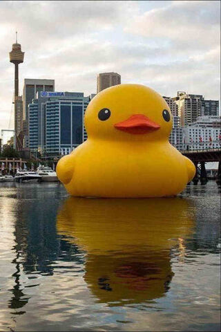 Giant Rubber Ducky