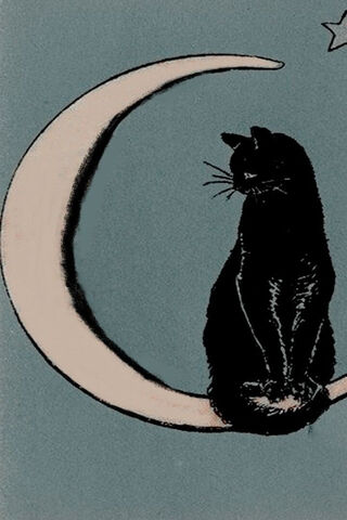 Moonlit Whiskers 🌙🐾