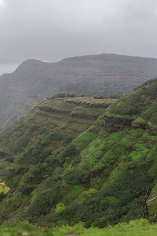Green Landscapes
