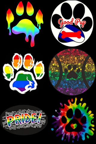 Colorful Paw Prints of ..