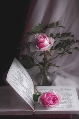 Whispers of Hibiscus: A Floral Serenade 🌺📖